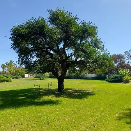 Tatil Evi Maison Dependance - Mas Des Catalanes