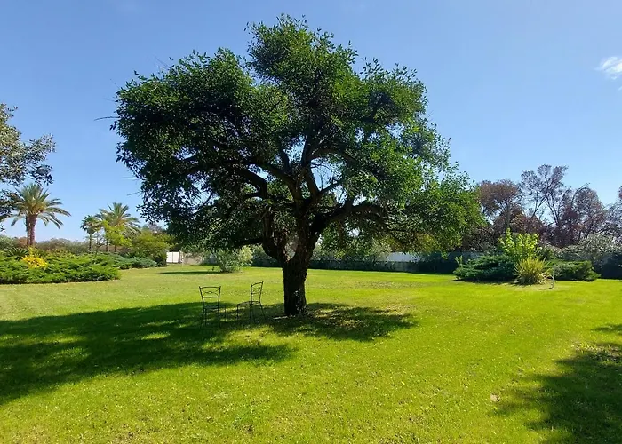 Дом отдыха Maison Dependance - Mas Des Catalanes